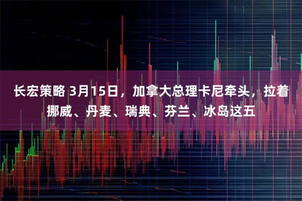 长宏策略 3月15日，加拿大总理卡尼牵头，拉着挪威、丹麦、瑞典、芬兰、冰岛这五