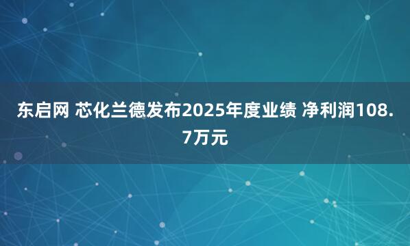 东启网 芯化兰德发布2025年度业绩 净利润108.7万元