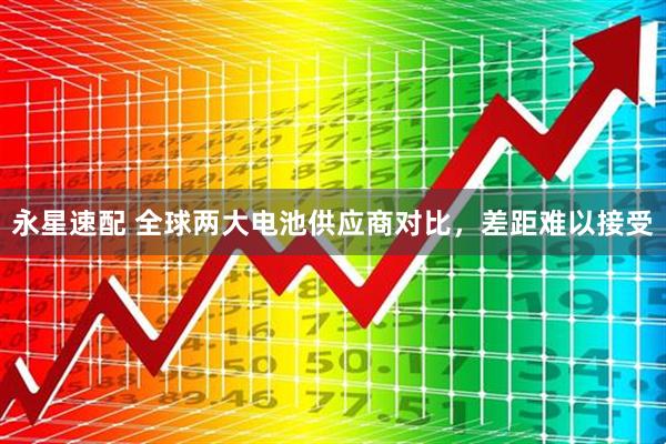 永星速配 全球两大电池供应商对比，差距难以接受