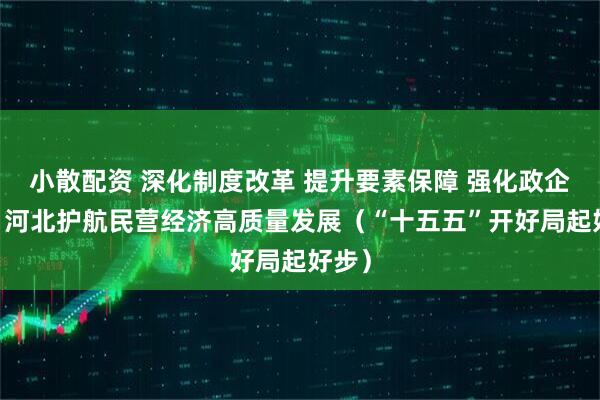 小散配资 深化制度改革 提升要素保障 强化政企沟通 河北护航民营经济高质量发展（“十五五”开好局起好步）