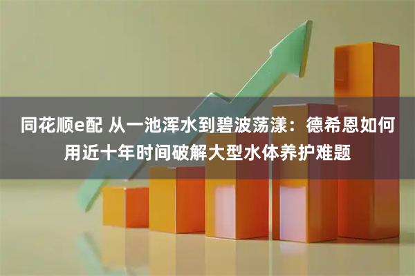 同花顺e配 从一池浑水到碧波荡漾：德希恩如何用近十年时间破解大型水体养护难题