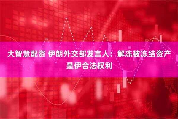 大智慧配资 伊朗外交部发言人：解冻被冻结资产是伊合法权利