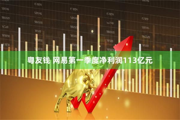 粤友钱 网易第一季度净利润113亿元